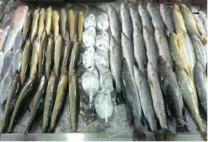 丸華鮮魚號