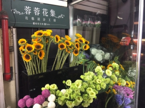 蓉蓉花集