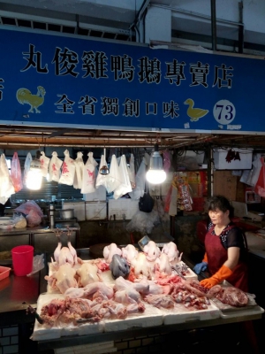 丸俊雞鴨鵝專賣店