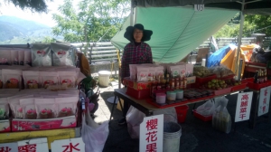 簡秀蓁水果攤