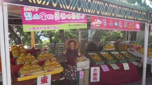 藍梅水果攤12號